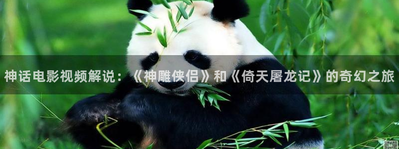 樱花影视大全免费看电视剧最新