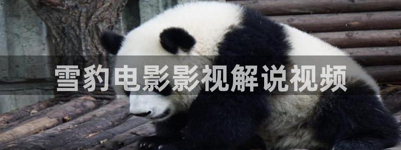 樱花影业