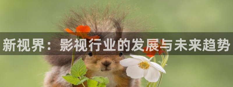 樱花视频高清资源在线观看