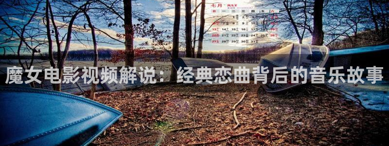 樱花视频全部