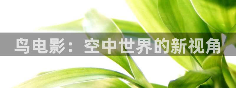 樱花视频国产