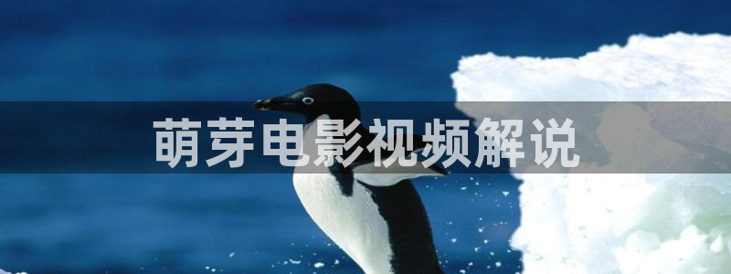 樱花视频最新