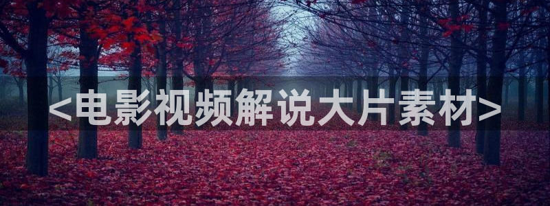 樱花视频下载地址
