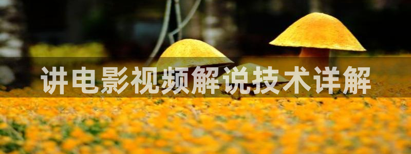 樱花影院在线观看高清电影
