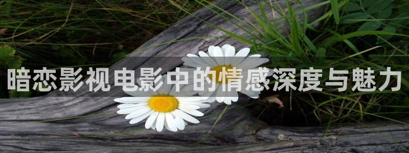 樱花视频黄版