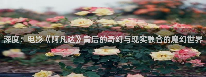 樱花视频全集