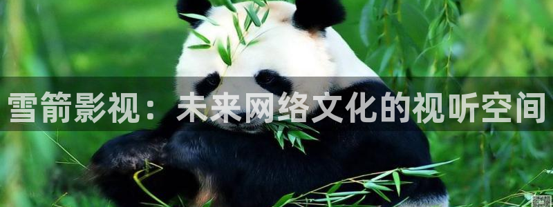 樱花影视免费在线看