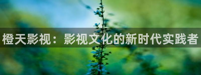 樱花视频观看高清