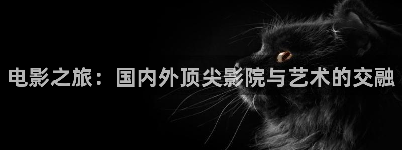 樱花视频在线观看免费高清电视剧