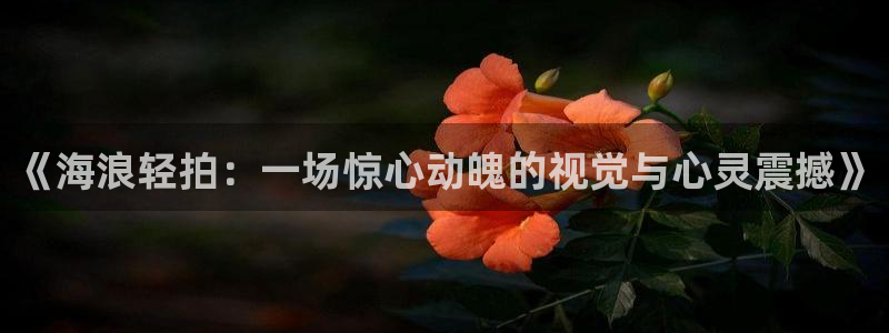 樱花影院电视剧大全