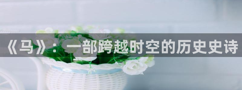 樱花视频在线www观看