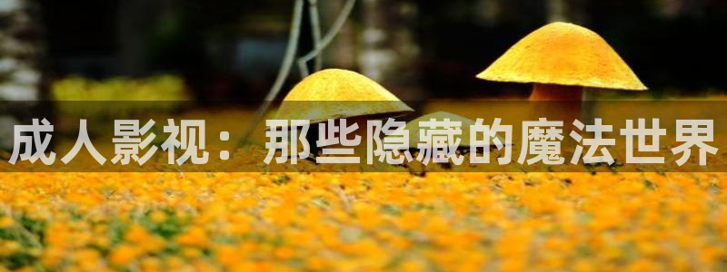 樱花影院免费在线观看