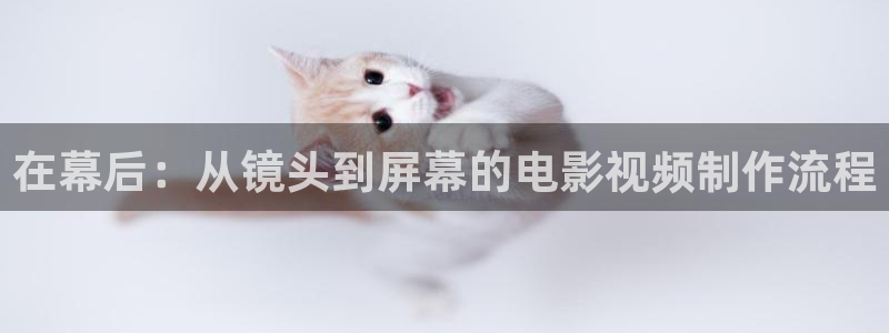 樱花影视大全免费观看