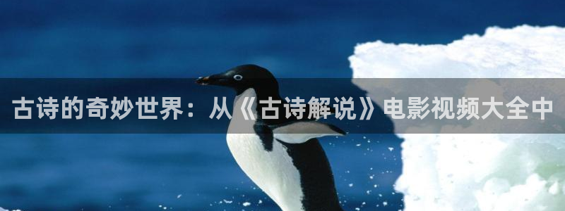 樱花影片在线免费