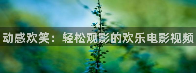 樱花影视在线免费观看