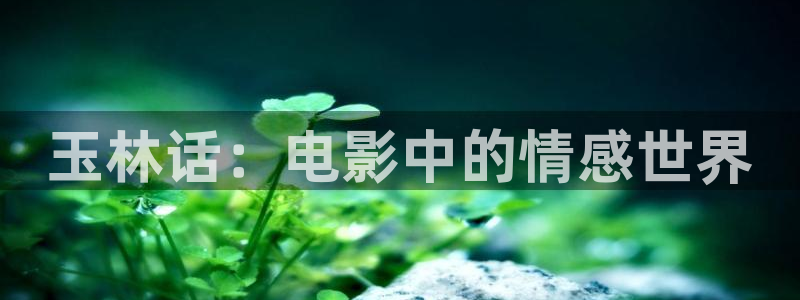 樱花影视在线免费观看