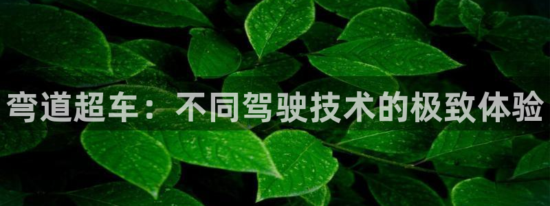 樱花视频v