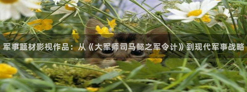 樱花影视网址