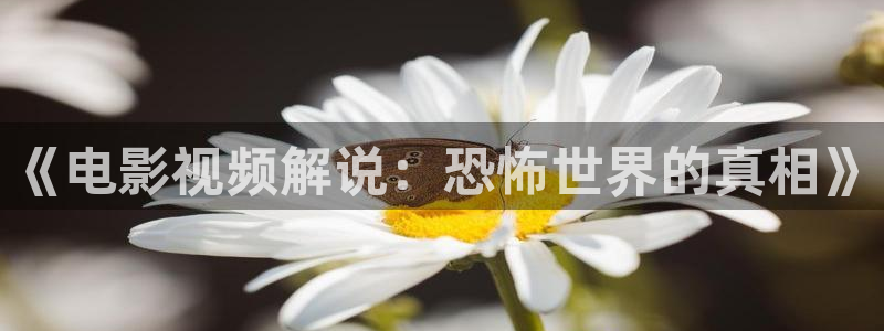 樱花视频大全免费观看电视剧