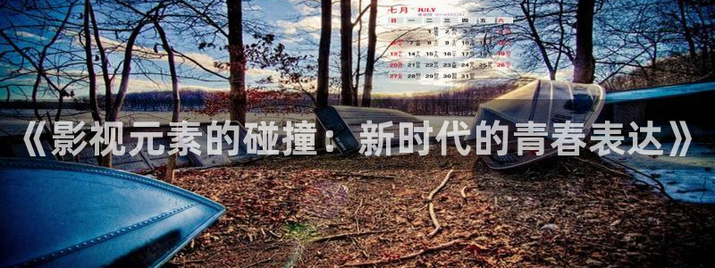 樱花视频热播剧排行榜