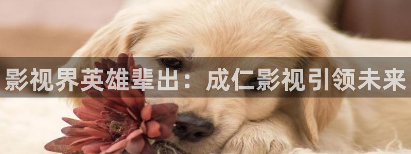 樱花视频推荐