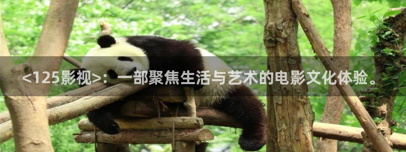 樱花视频在线观看电视剧第一集