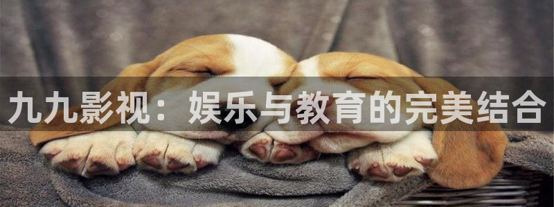 樱花视频搞基