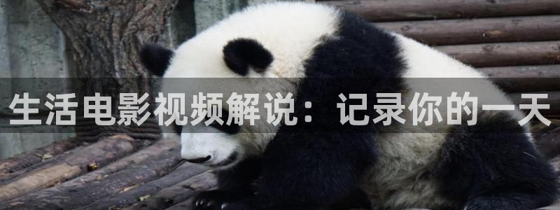樱花影院网站在线观看电视剧