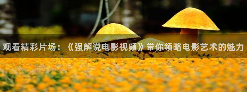 樱花视频三级