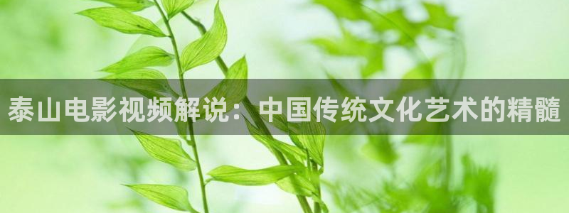 樱花视频ww