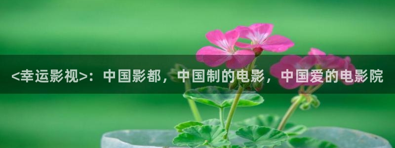 樱花视频在线观看电视剧全集免费