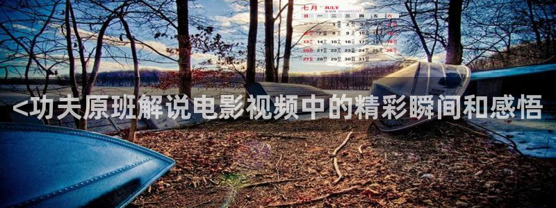 紫阳花的凋零散落之时樱花视频