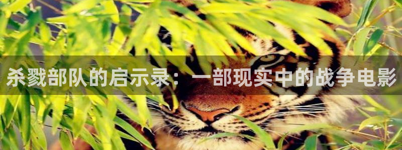 樱花影院电影在线观看