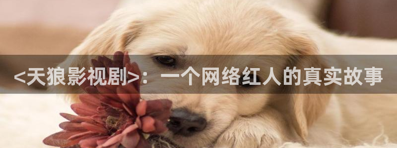 y樱花视频