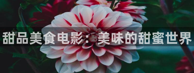 樱花视频综合在线