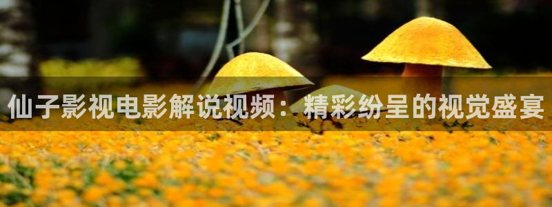 樱花影院雨宫琴音电视剧免费