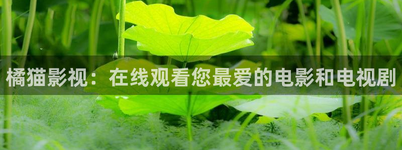进去里樱花视频