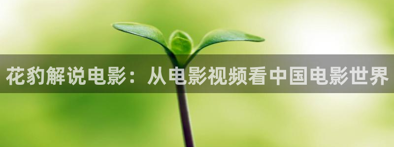樱花视频17：花豹解说电影：从电影视频看中国电影世界