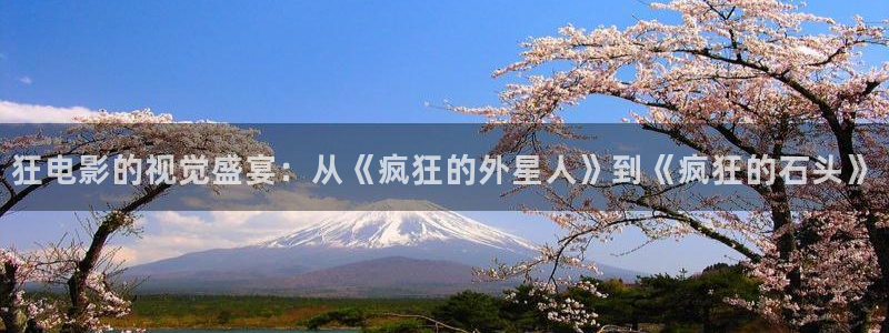 overflow樱花视频