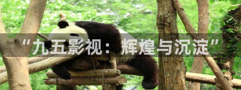 国产~樱花视频