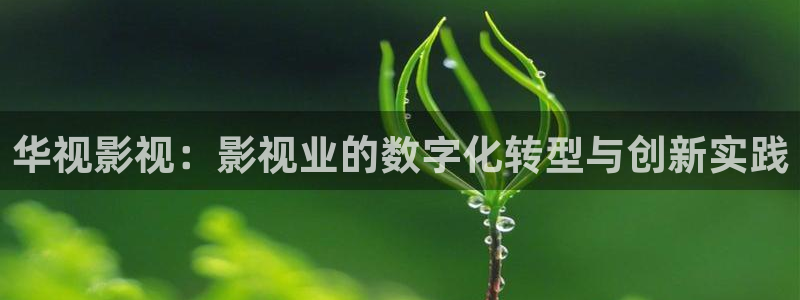 樱花影院版在线观看
