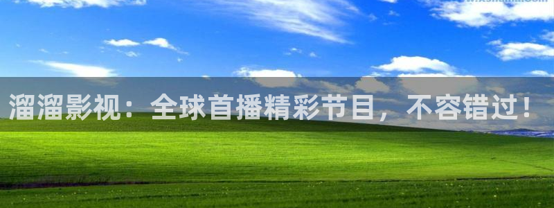 樱花视频欣赏