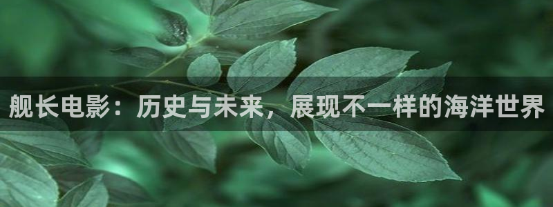 东湖樱花视频