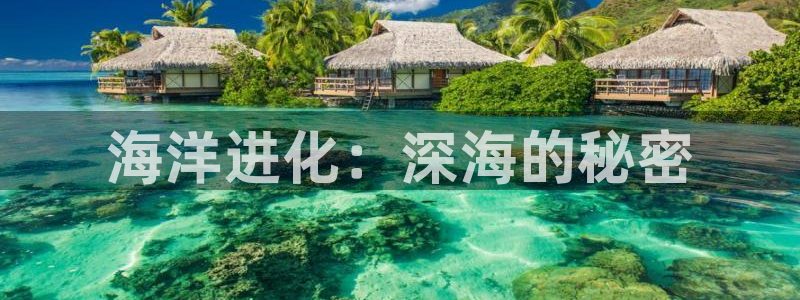 樱花视频免费版高清在线观看