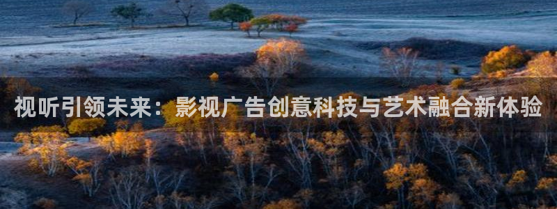 樱花视频tv