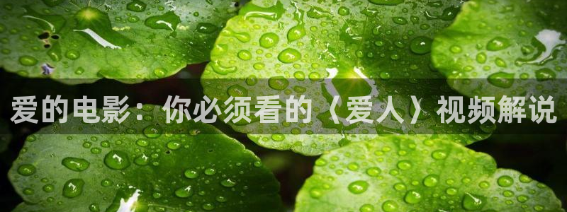 樱花视频大全免费观看