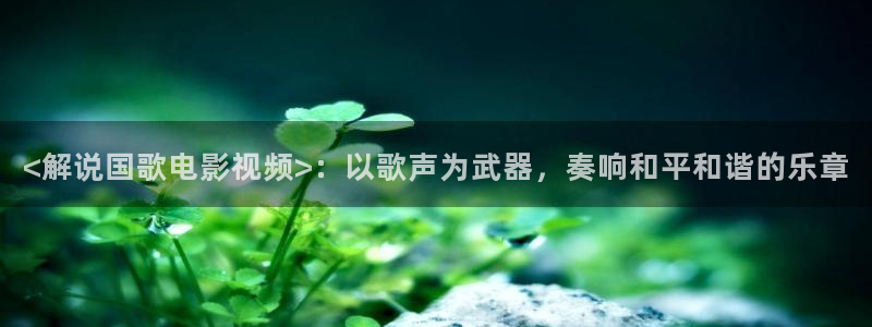 樱花视频电影完整版