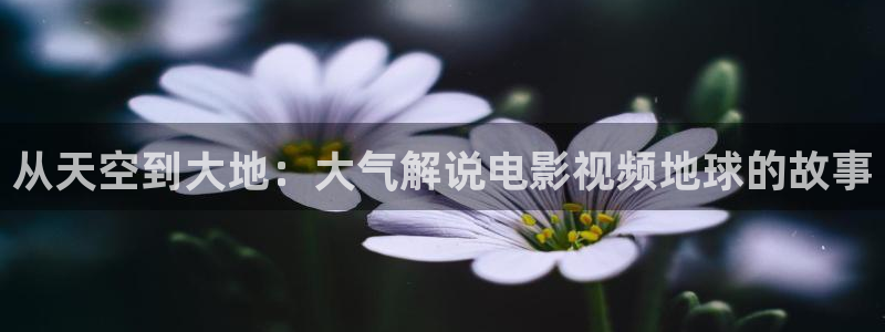 樱花视频免费版
