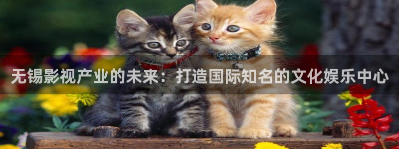 樱花影院电视剧在线播放视频：无锡影视产业的未来：打造国际知名的文化娱乐中心