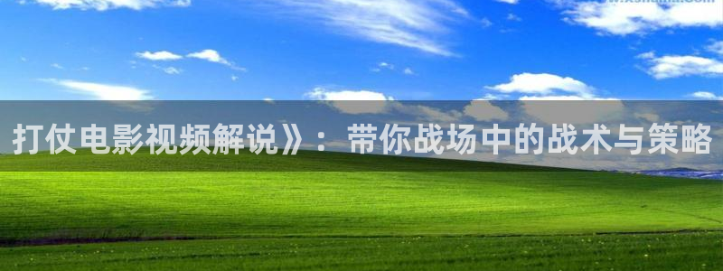《樱花视频》